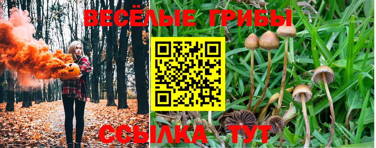 Галлюциногенные грибы мухоморы  Вход с VPN  наркотики  Сунжа 